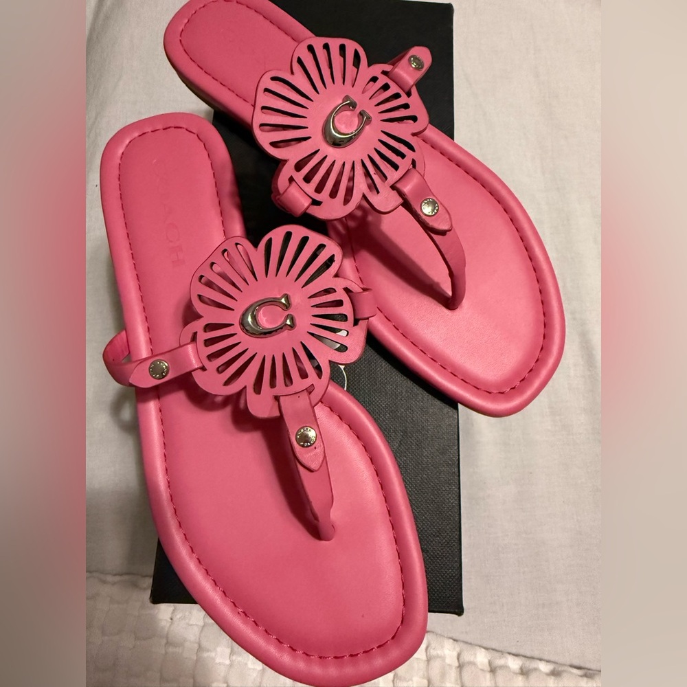 New with box Coach Julia leather sandals color is petunia size 8